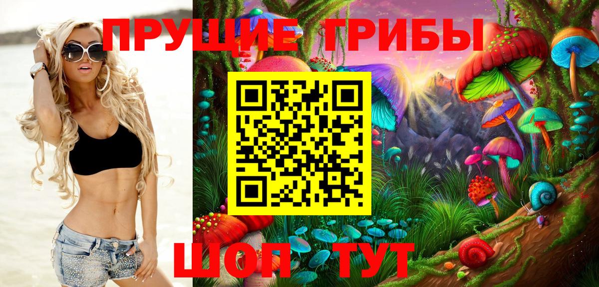Псилоцибиновые грибы Psilocybine cubensis Кандалакша