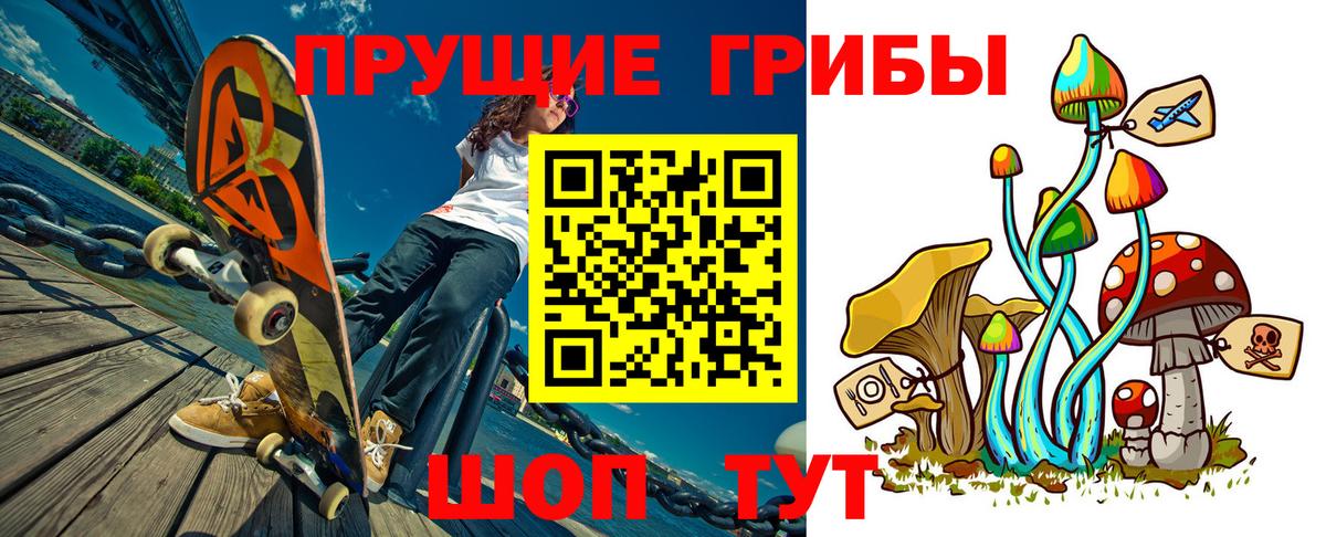 Кандалакша  Галлюциногенные грибы Cubensis  Вход с VPN 